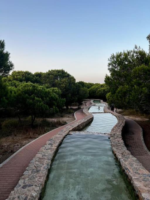 Apartament Viajeros Vinamar VII 라 마타 외부 사진